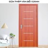 Cửa thép vân gỗ GSD 1 cánh